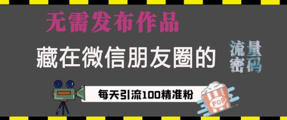 藏在微信朋友圈的流量密码，无需发布作品，单日引流100+精准创业粉【揭秘】-微众资源