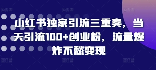 小红书独家引流三重奏，当天引流100+创业粉，流量爆炸不愁变现【揭秘】-微众资源