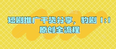 短剧推广干货分享，豹剧 1:1原创全流程-微众资源