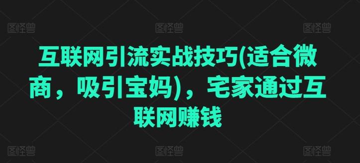 互联网引流实战技巧(适合微商，吸引宝妈)，宅家通过互联网赚钱-微众资源