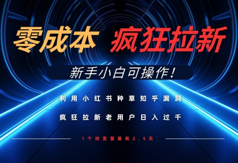 利用小红书种草知乎漏洞，零成本疯狂拉新日入数张，新手小白可操作-微众资源