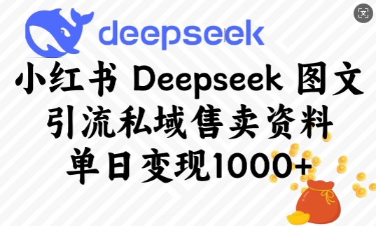 小红书Deepseek图文引流私域售卖资料，单日变现多张-微众资源