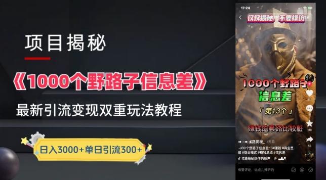 一千个野路子信息差最新玩法教程-变现+引流的玩法具体拆解【揭秘】-微众资源