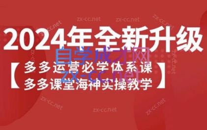 海神老师·拼多多运营必学体系课-微众资源