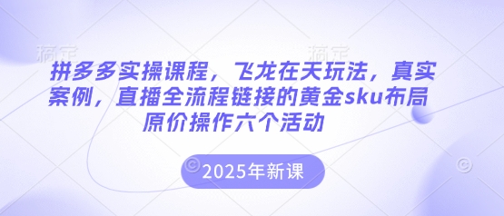 拼多多实操课程，飞龙在天玩法，真实案例，直播全流程链接的黄金sku布局原价操作六个活动-微众资源