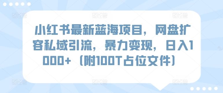 小红书最新蓝海项目，网盘扩容私域引流，暴力变现，日入1000+(附100T占位文件)【揭秘】-微众资源