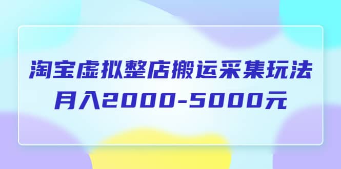 淘宝虚拟整店搬运采集玩法分享课：月入2000-5000元（5节课）-微众资源