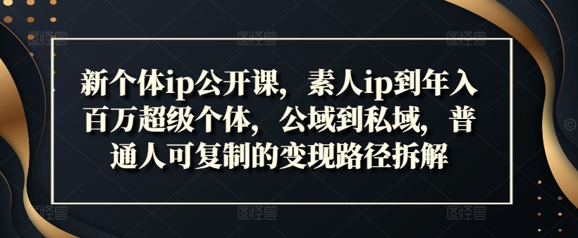 新个体ip公开课，素人ip到年入百万超级个体，公域到私域，普通人可复制的变现路径拆解-微众资源