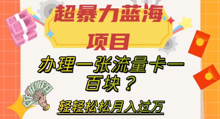 超暴力蓝海项目，办理一张流量卡就能赚一百块！轻轻松松月入过万，保姆级教程-微众资源