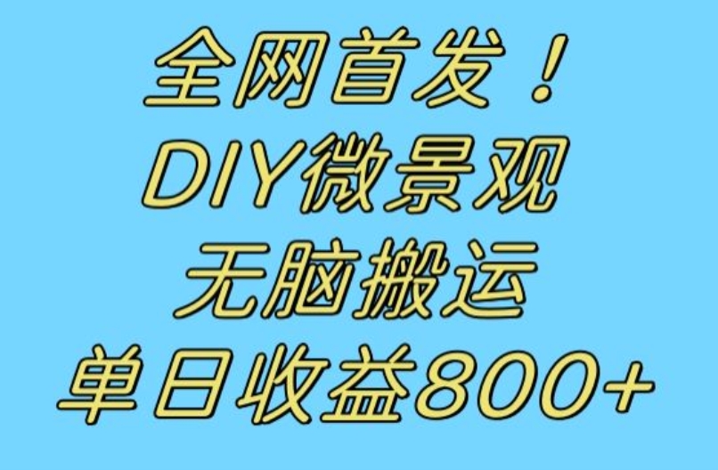 无脑搬运视频玩法，日收益800+，全网首发冷门赛道！DIY微景观，动动手指搬运即可-微众资源