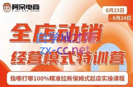 阿呆电商·全店动销经营模式特训营(线下录音+思维导图)-微众资源