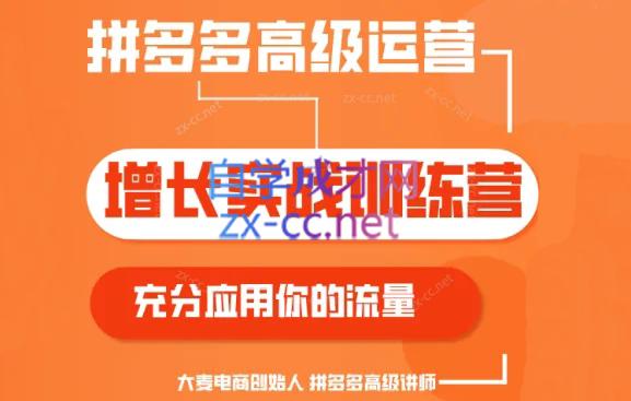 大麦老师·拼多多单品爆款打造课程(更新6月)-微众资源