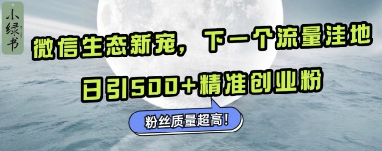 微信生态新宠小绿书：下一个流量洼地，日引500+精准创业粉，粉丝质量超高-微众资源