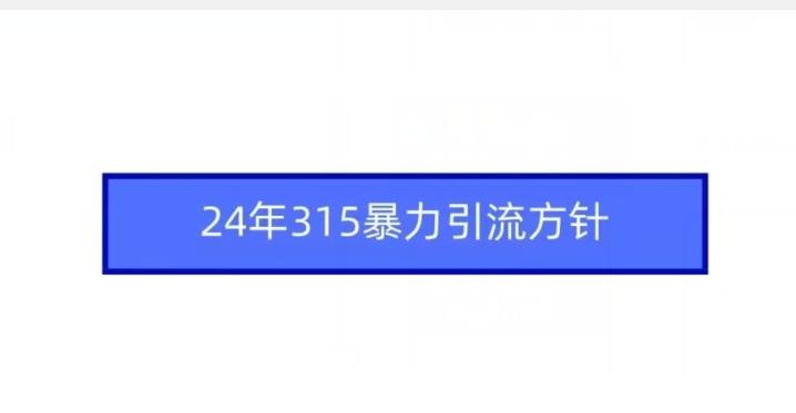 24年315暴力引流方针-微众资源