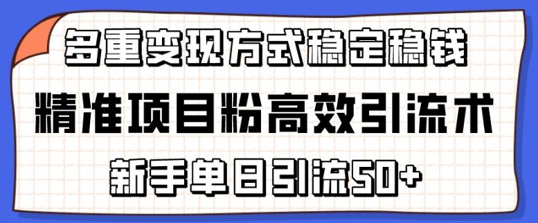 精准项目粉高效引流术，新手单日引流50+，多重变现方式稳定赚钱【揭秘】-微众资源