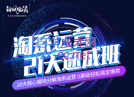 淘系运营21天速成班(更新7月)-微众资源
