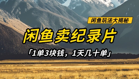 闲鱼卖纪录片1单3块钱，1天几十单，项目稳定有潜力-微众资源
