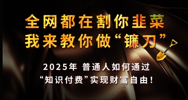 全网都在割你韭菜，我来教你做镰刀，2025年普通人如何通过 知识付费 实现财F自由【揭秘】-微众资源