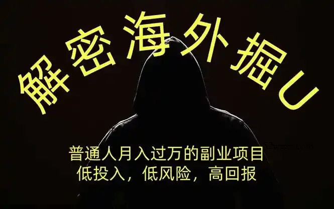 解密海外掘U，普通人月入过万的副业项目，低投入、低风险高回报，没有之一-微众资源