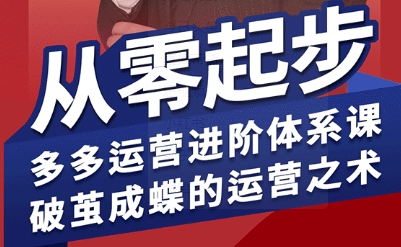 拼多多运营进阶系统课，从零起步，多多运营进阶体系课，破茧成蝶的运营之术-微众资源
