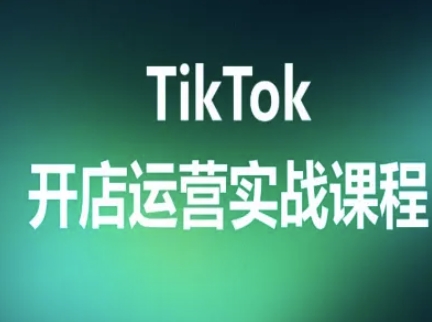 TikTok开店运营实战课程，TK跨境电商实操全流程-微众资源