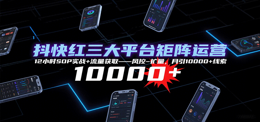 抖快红三大平台矩阵运营，12小时SOP实战+流量获取-风控-扩量，月引10000+线索-微众资源