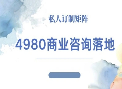 4980商业咨询师落地课程-ip运营高客单教程-微众资源