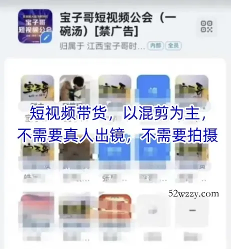 宝子哥头部团队短视频带货，以混剪为主，不需要真人出镜，不需要拍摄【更新11月】-微众资源