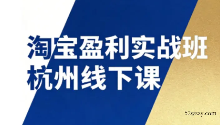 淘宝盈利实战班杭州线下课12月26-28日(音频+字幕)，帮你掌握SOP流程+12门核心技术-微众资源