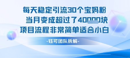 每天稳定引流30个人 当月变成超过了4个W项目流程非常简单适合小白-微众资源