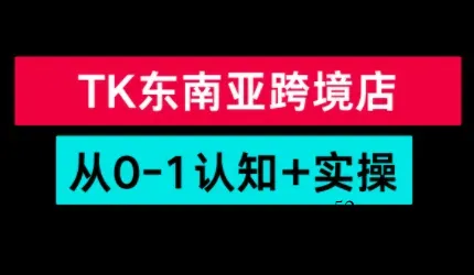 TikTok东南亚跨境从0-1认知实操课-微众资源