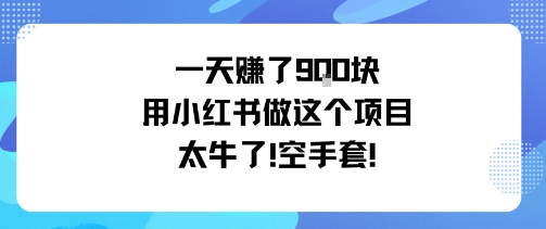 一天挣了9张用小红书做这个项目太牛了，空手套-微众资源