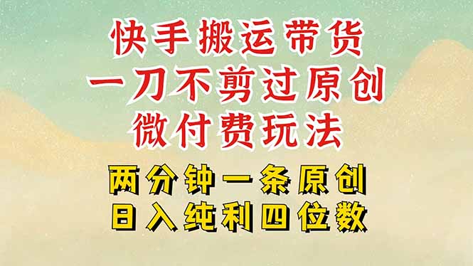 快手黑科技搬运带货，一刀不剪过原创，微付费投流玩法，轻松日入四位数…-微众资源