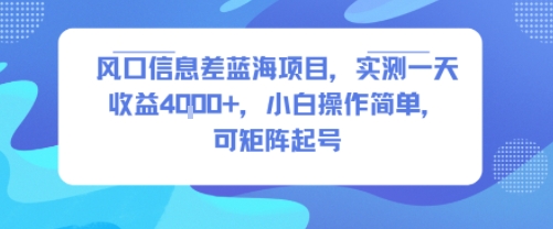风口信息差蓝海项目，实测一天收益4k+，小白操作简单，可矩阵起号-微众资源