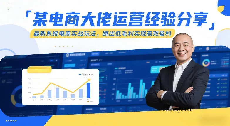 某电商大佬运营经验分享，最新系统电商实战玩法，跳出低毛利实现高效盈利(更新)-微众资源