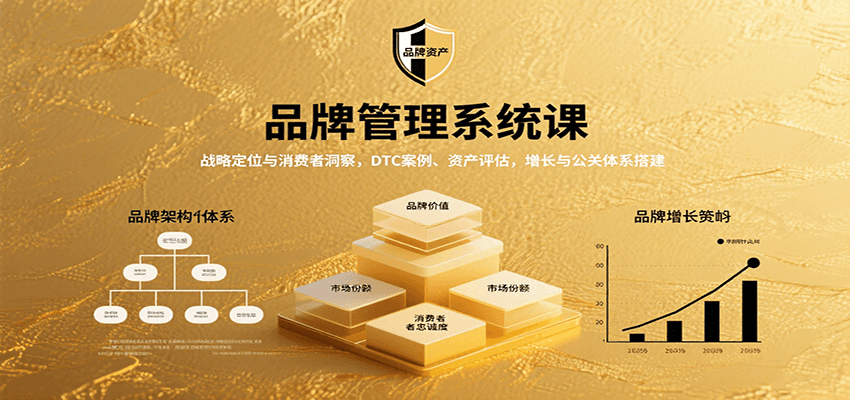 品牌管理系统课：战略定位与消费者洞察，DTC案例、资产评估，增长与公关体系搭建-微众资源