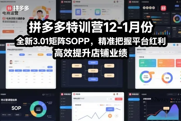 拼多多特训营12-1月份，全新3.01矩阵Sop，精准把握平台红利，高效提升店铺业绩-微众资源