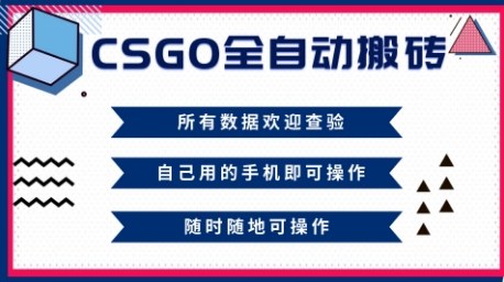 CSGO全自动搬砖，年底钱回家好项目，当天可拿到结果，新手小白轻松月入1W+【揭秘】-微众资源