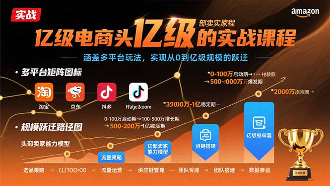 亿级电商头部卖家的实战课程：涵盖多平台玩法，实现从0到亿级规模的跃迁-微众资源