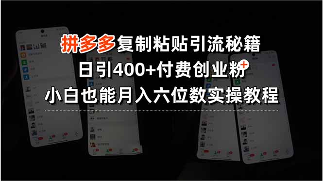 拼多多复制粘贴引流秘籍，日引400+付费创业粉，小白也能月入六位数实操…-微众资源