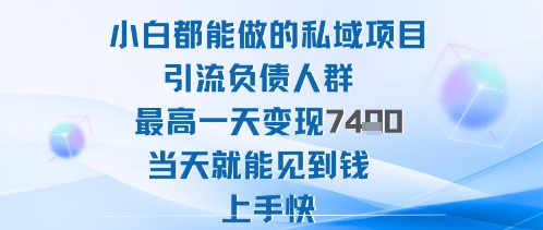 2025年小白都能做的私域项目引流负债人群最高一天变现1k+高变现难度低当天就能见到钱上手快-微众资源