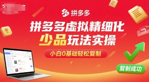 拼多多虚拟精细化少品玩法实操，小白0基础轻松复制-微众资源