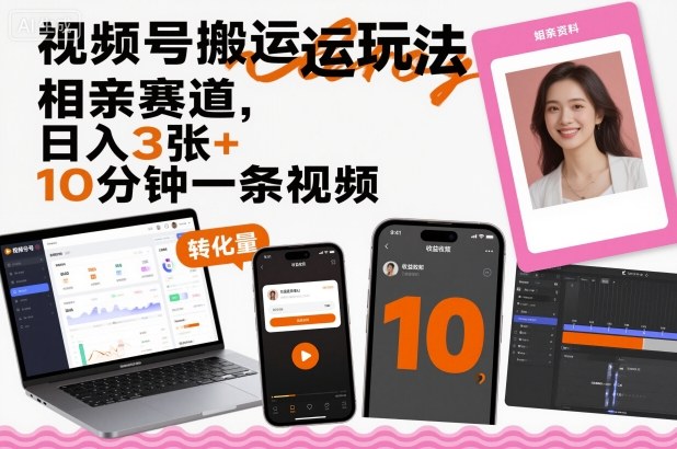 视频号搬运玩法，相亲赛道，日入3张+，10分钟一条视频-微众资源