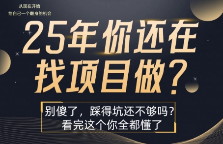 25年，你还在疯狂的找项目吗？别傻了，看完这个你都懂了【揭秘】-微众资源