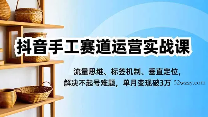 抖音手工赛道运营实战课，流量思维、标签机制、垂直定位，解决不起号难题，单月变现破3万-微众资源