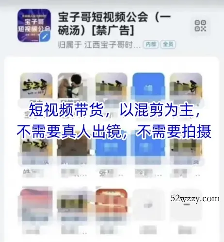 宝子哥头部团队短视频带货，以混剪为主，不需要真人出镜，不需要拍摄【更新26年1月】-微众资源
