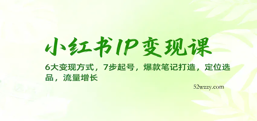 小红书IP变现课：6大变现方式，7步起号，爆款笔记打造，定位选品，流量增长-微众资源