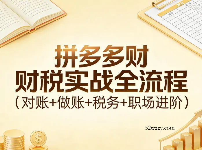 拼多多财税实战全流程(对账+做账+税务+职场进阶)-微众资源