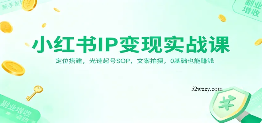 小红书IP变现实战课：定位搭建，光速起号SOP，文案拍摄，0基础也能赚钱-微众资源