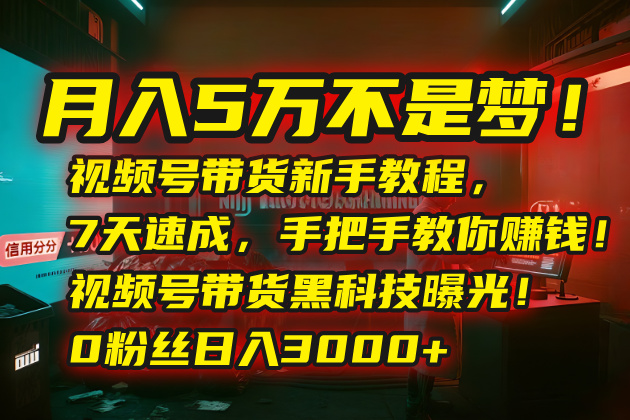 月入5万不是梦！视频号带货新手教程，7天速成，手把手教你赚钱！视频号…-微众资源